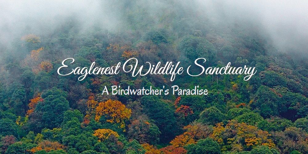 Shifting Habitats: Impact of Rising Temperatures on Bird Species in Eaglenest Wildlife Sanctuary