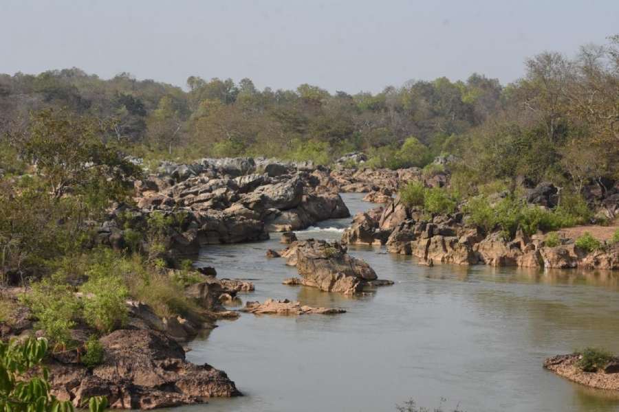 Odisha Designates Gupteswar Forest as Biodiversity Heritage Site