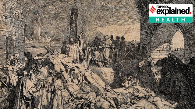 The Return of the Bubonic Plague: Should We Be Alarmed?