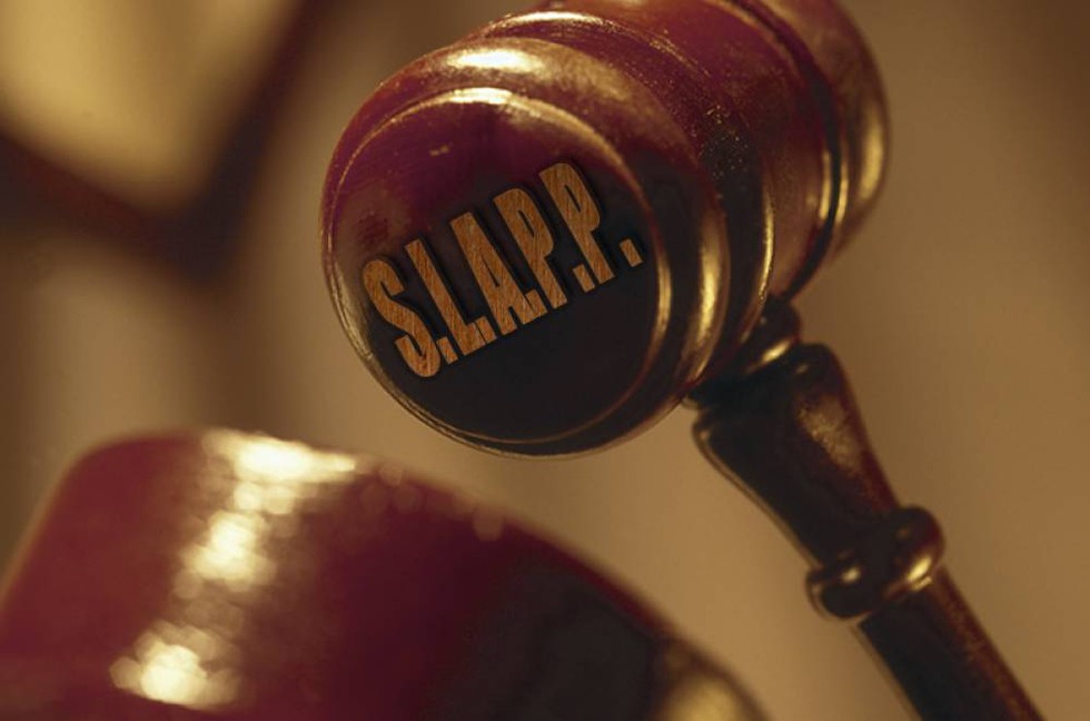 Understanding SLAPP Suits: Safeguarding Public Participation            