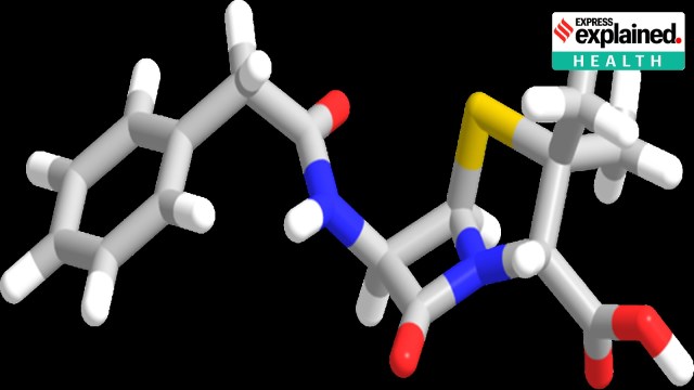 Revival of Penicillin G Manufacturing in India: Reasons for Shutdown and Resumption         