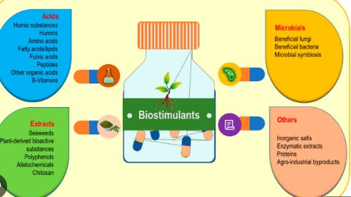 bio1