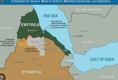 About Tigray People’s Liberation Front (TPLF). 1 tigray